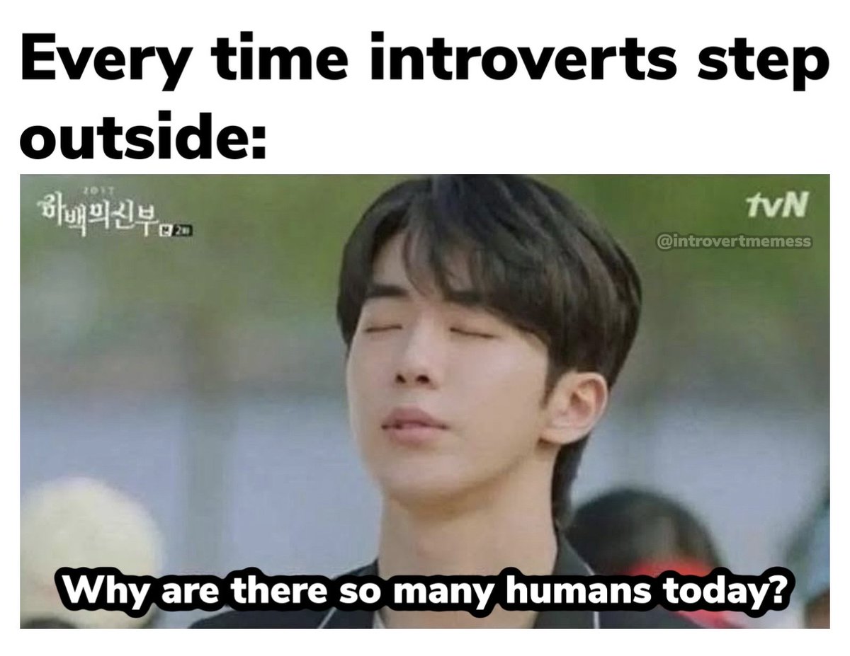 All About Introverts tweet media