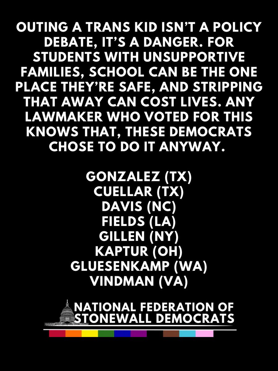 National Federation of Stonewall Democrats tweet media