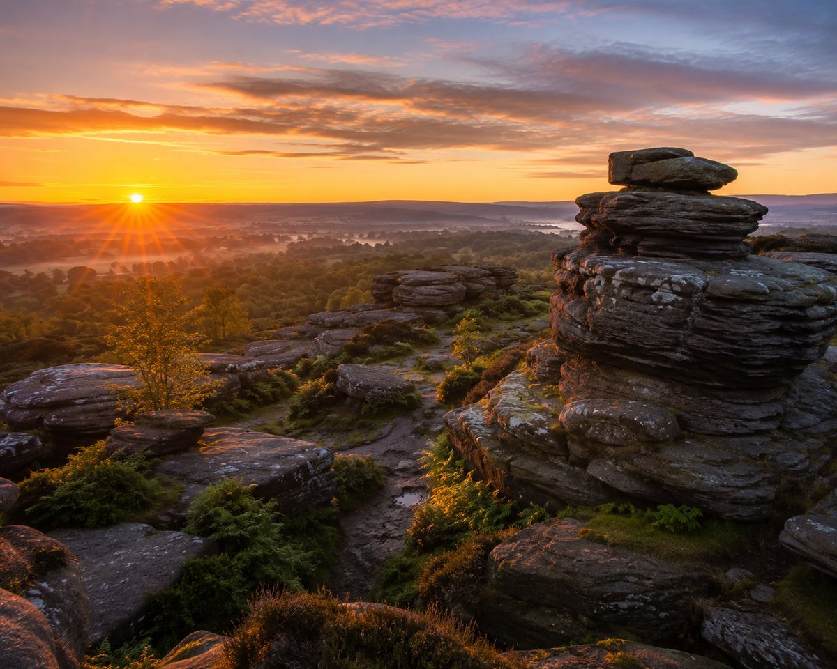 A View From Yorkshire tweet media