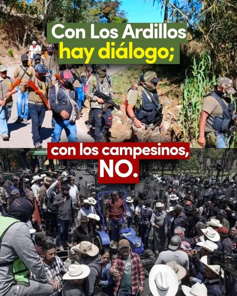 constanza luna tweet media