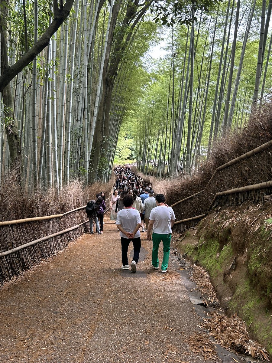 ʙᴇᴇʀᴜ𝗌🪐 AU JAPON tweet media