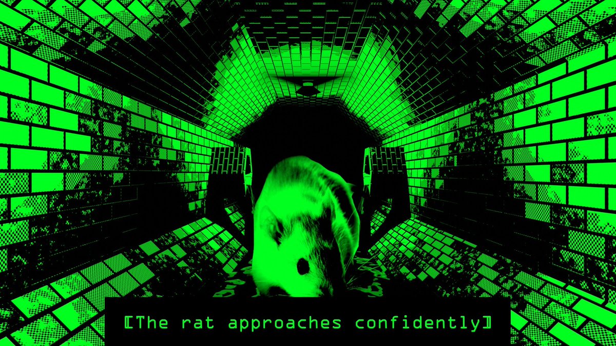 Rats tweet media