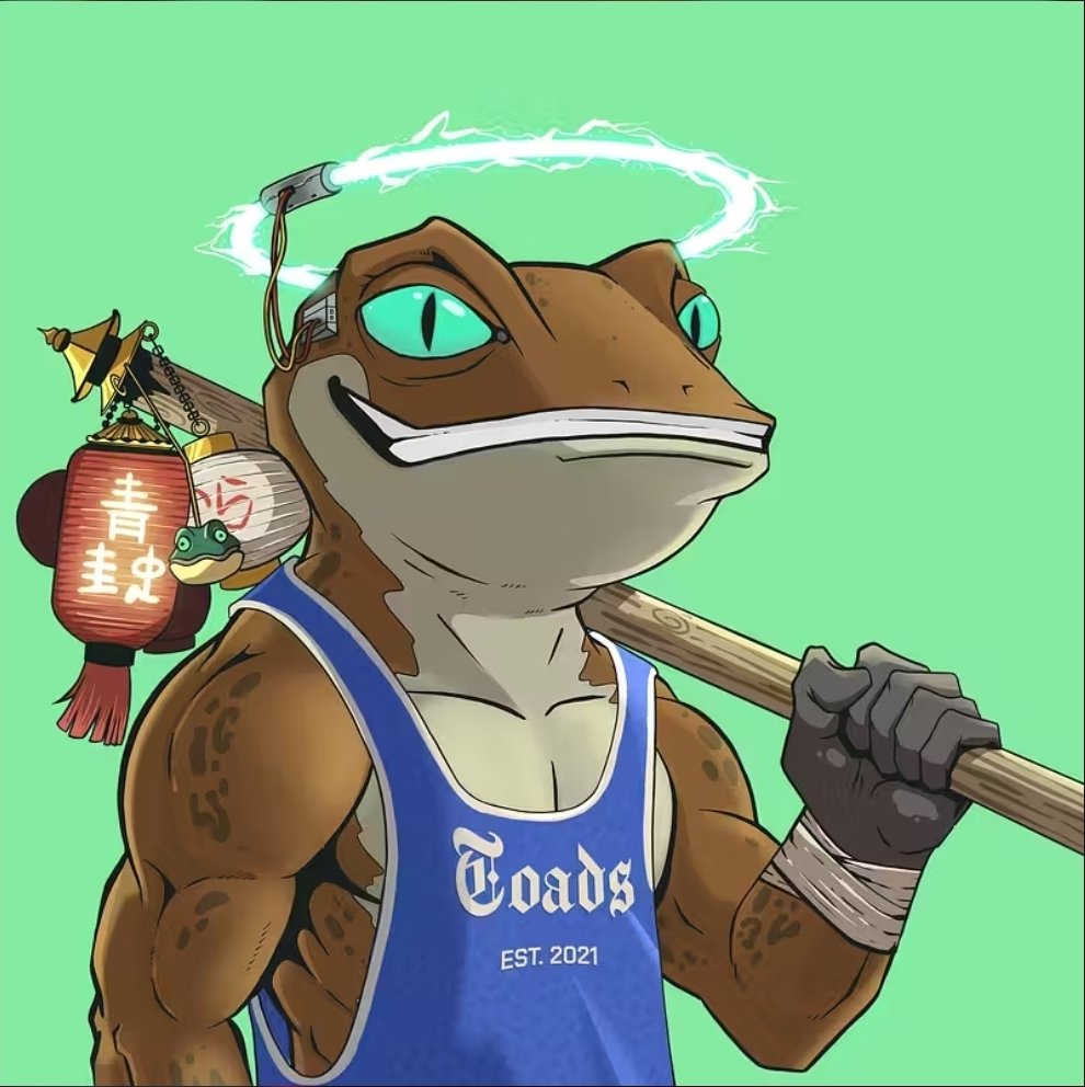 DudeBroCrypto tweet media