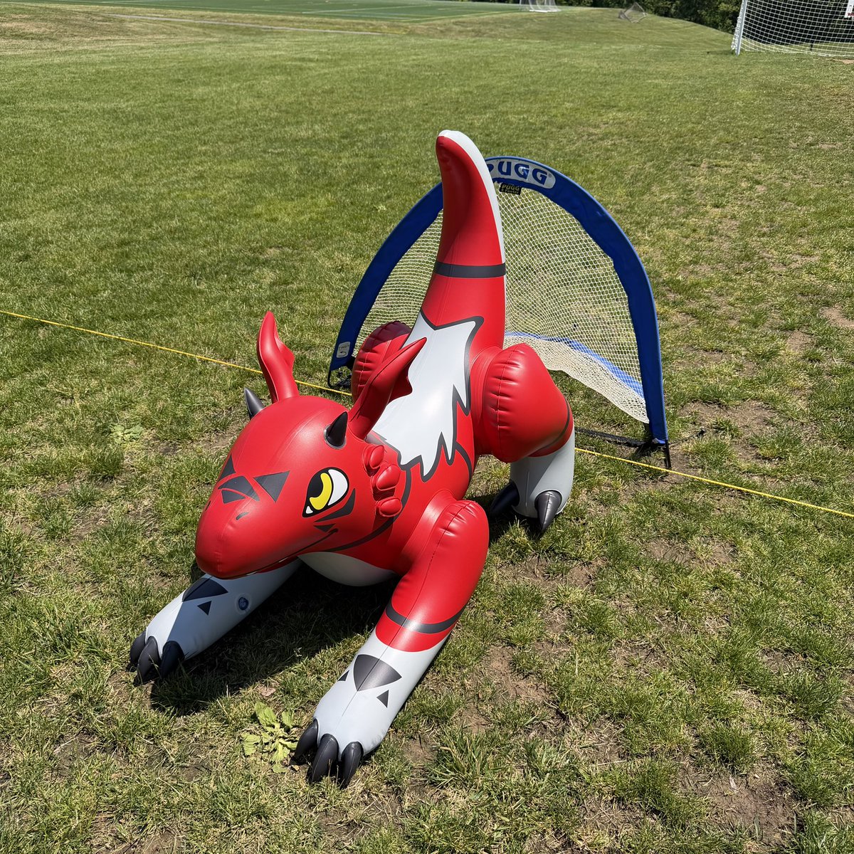 Jet Creations - Inflatables Galore! tweet media