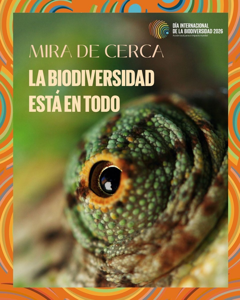 inst_humboldt's tweet photo. La Biodiversidad está en todo y acá les explicamos por qué. 

#DíaDeLaBiodiversidad 

Abrimos hilo 🧵 https://t.co/ugkBWibQPb