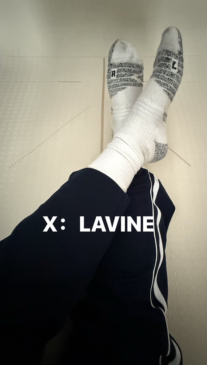 LAVINE tweet media