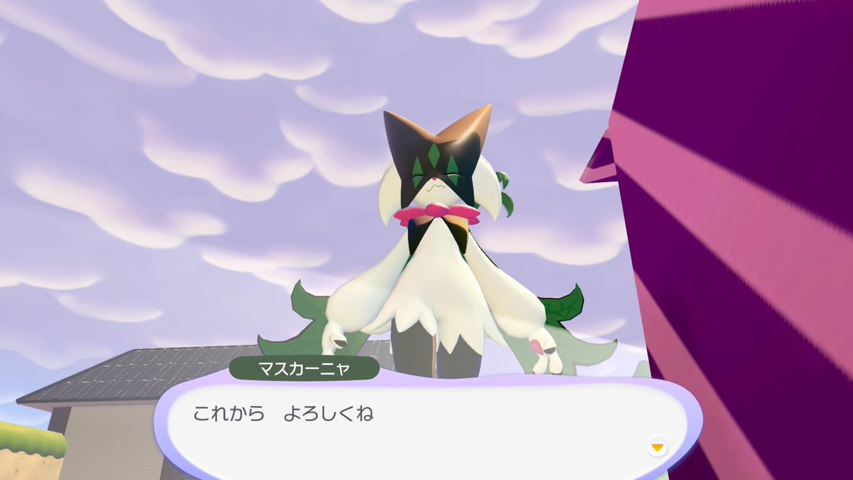 壁 tweet media