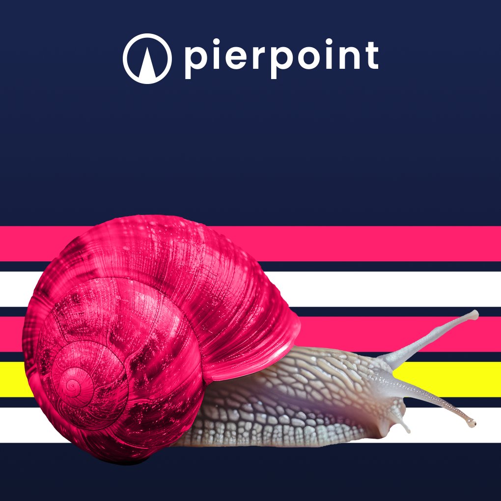 PierpointIntl's tweet photo. This week’s Talent OnPoint! looks at what is driving the shift in hiring in 2026.

Read the newsletter on LinkedIn: https://t.co/h3AfYfYJFf https://t.co/hAfpecVWWE