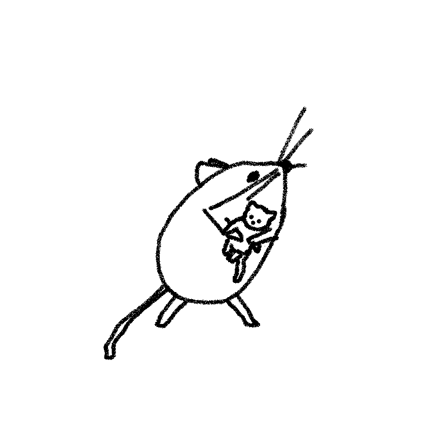 cat everyday 🍊 tweet media
