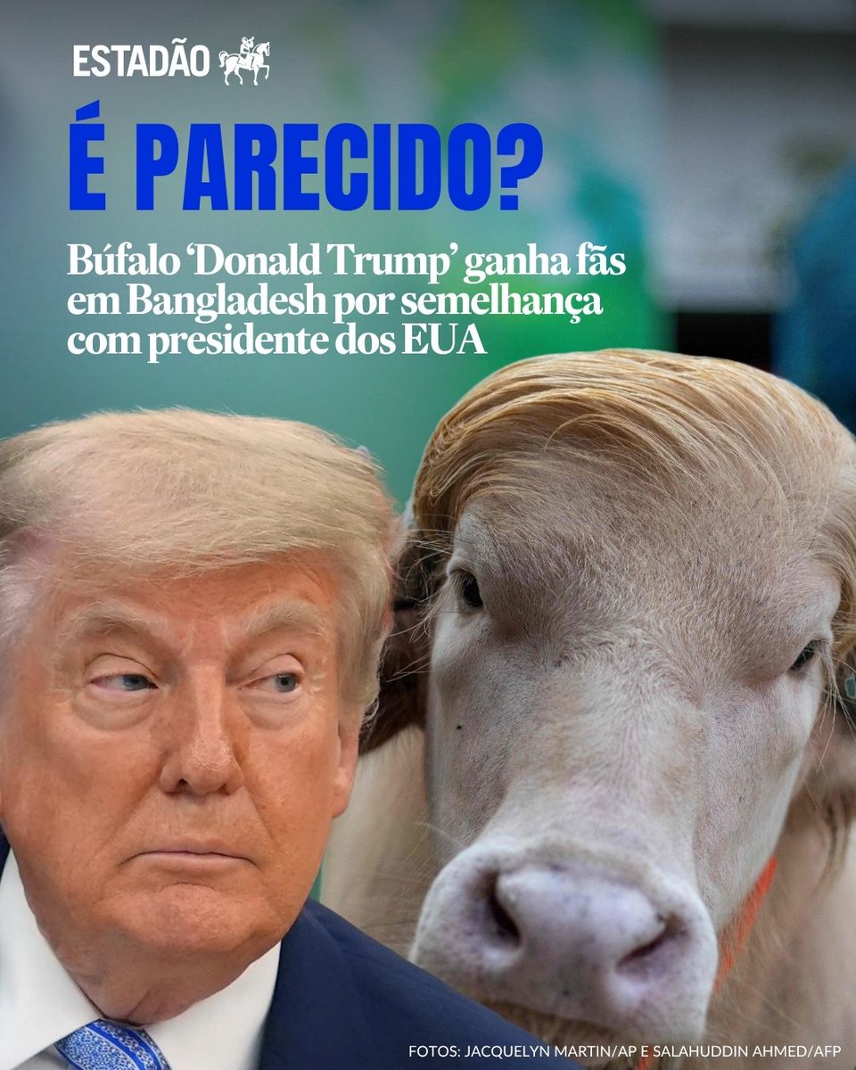 Estadão 🗞️ tweet media