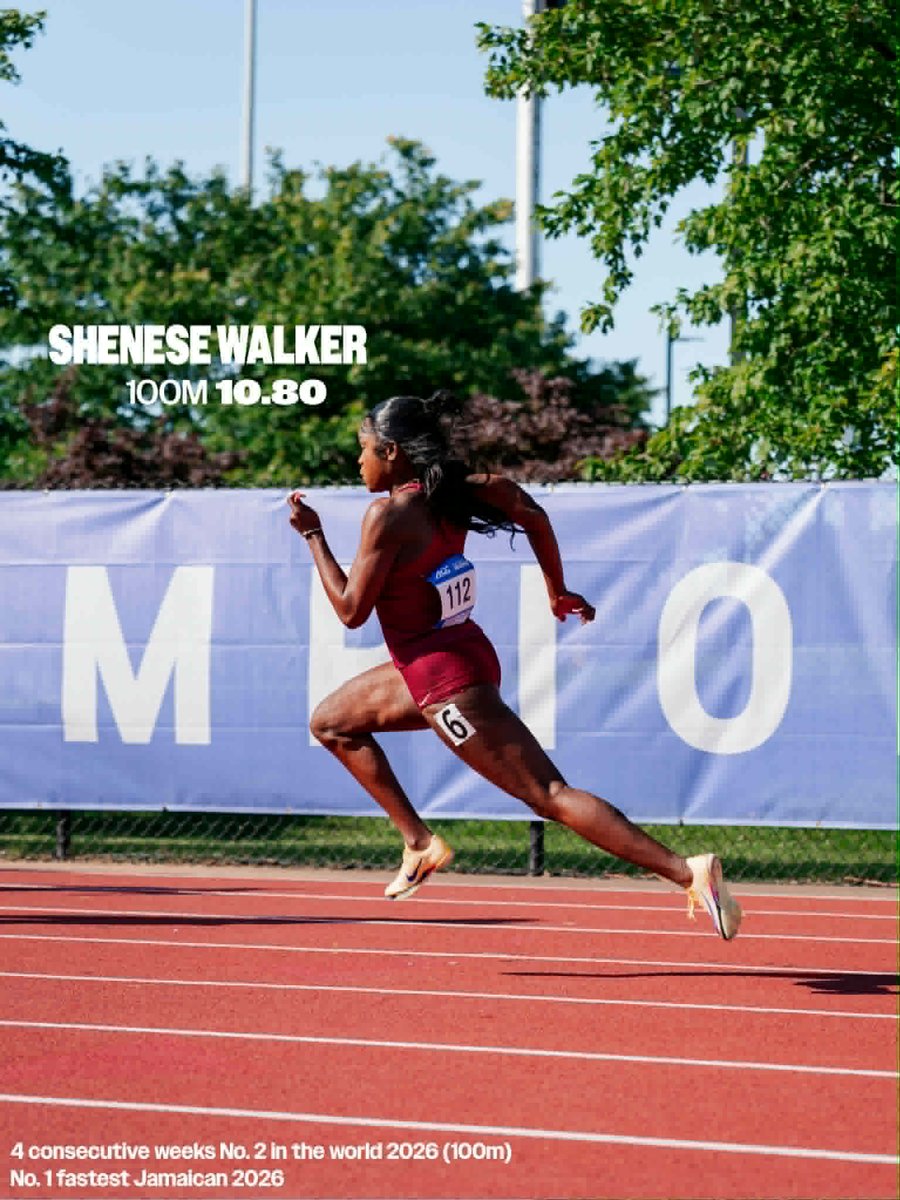Florida State T&F/XC tweet media