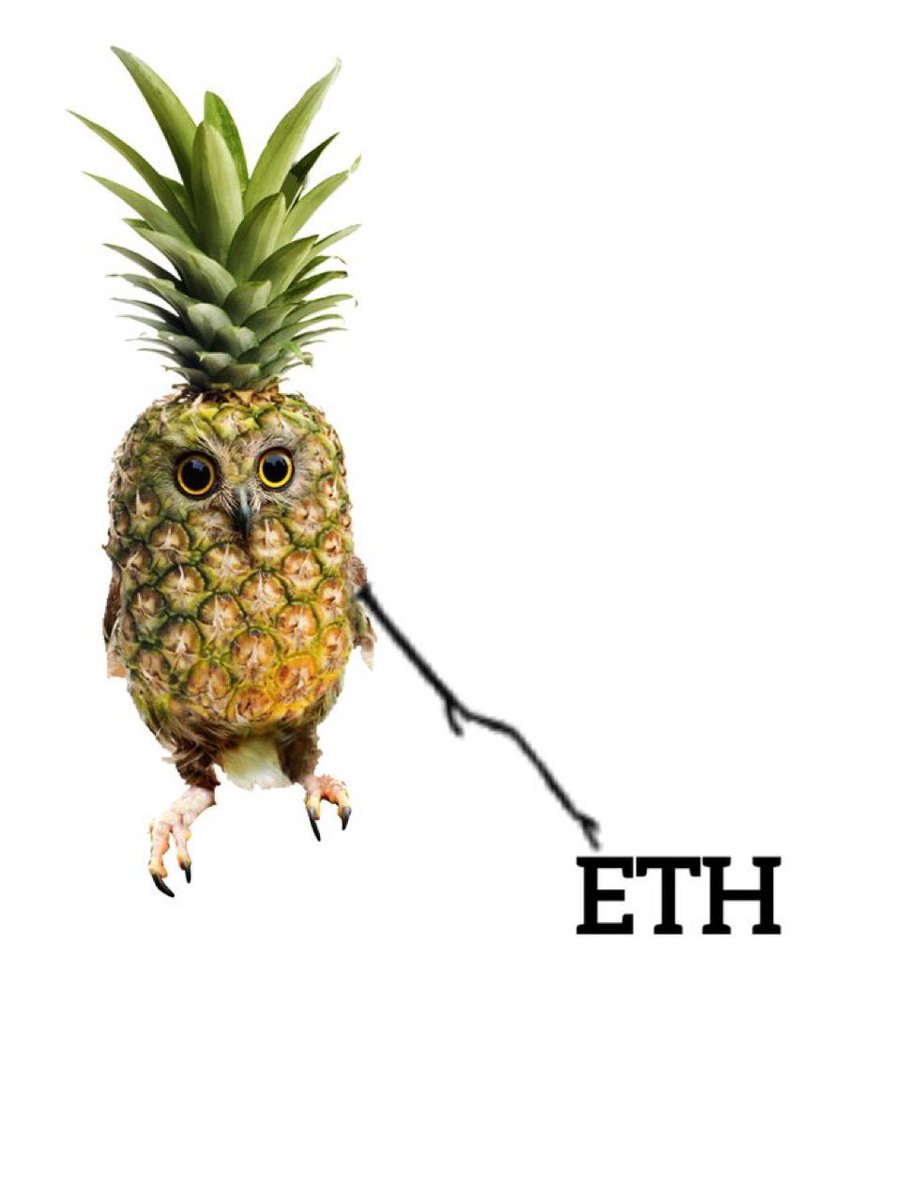 PINEOWL 🍍🦉 tweet media