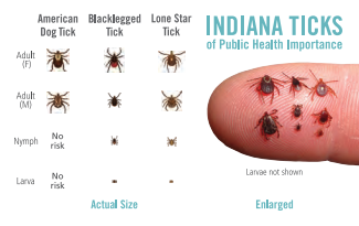 Fishers Health Department tweet media