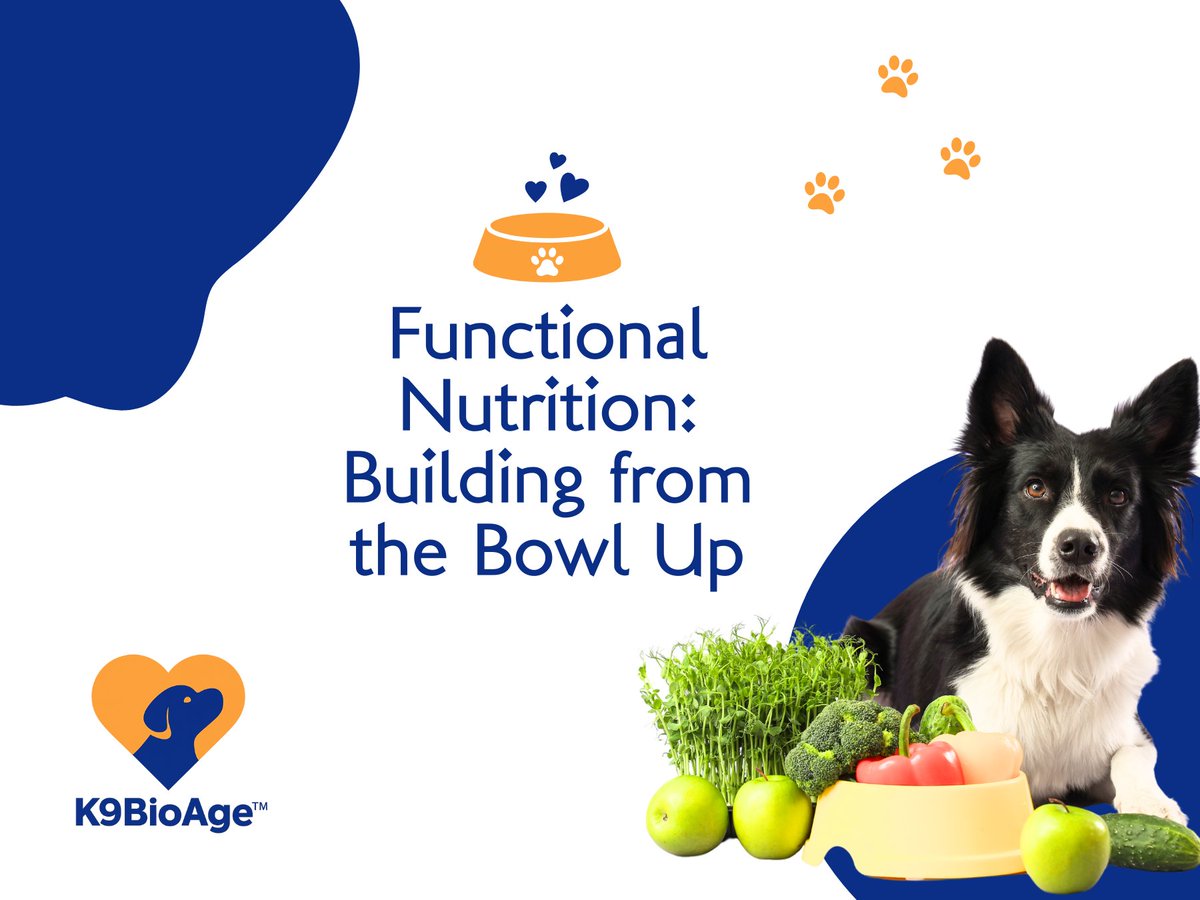 K9BioAge's tweet photo. Most people think dog aging is inevitable.

But aging is biology.
And biology responds to daily inputs.
Nutrition. Sleep. Stress. Movement. Environment.

Longevity is not luck.
It is design.

🐾 Explore the 10 drivers of canine longevity:
https://t.co/EAvxmBRsTN

#doglongevity https://t.co/LFUrsQ1PMc