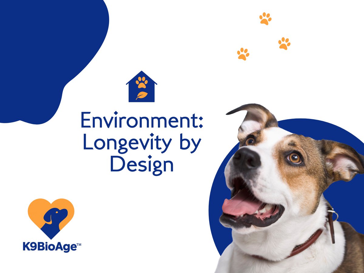 K9BioAge's tweet photo. https://t.co/3Fc90gKYIv