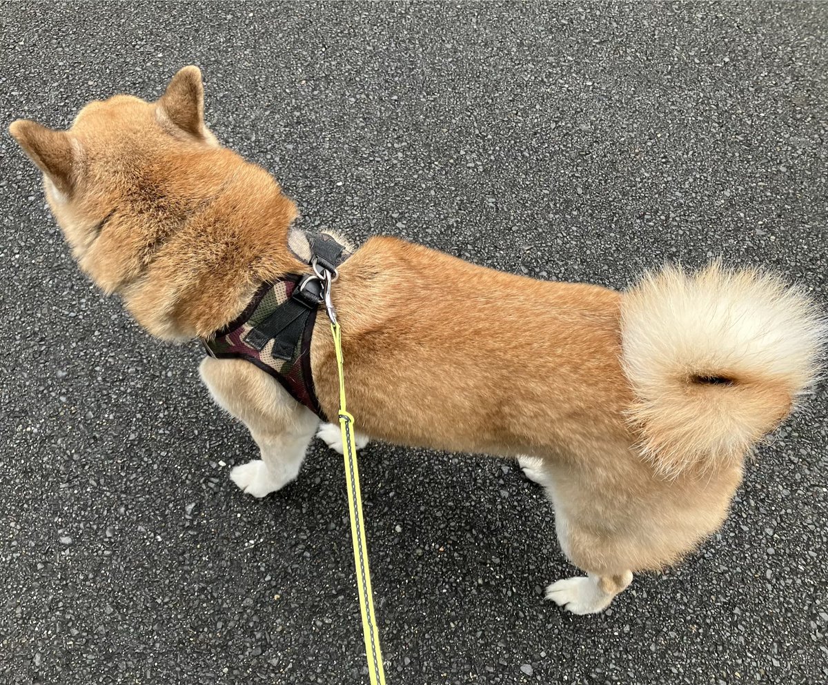 TKG.株式会社特殊高所技術 tweet media
