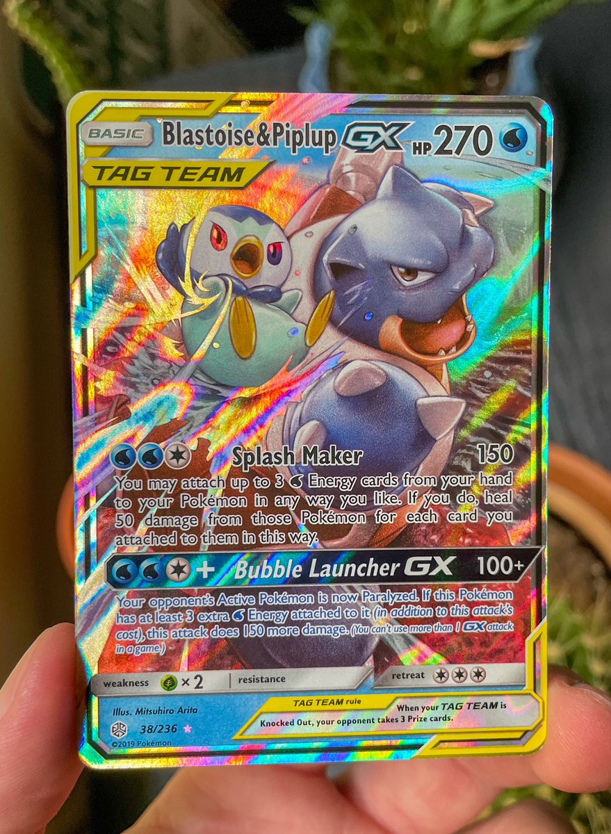 PokéCardsDaily tweet media
