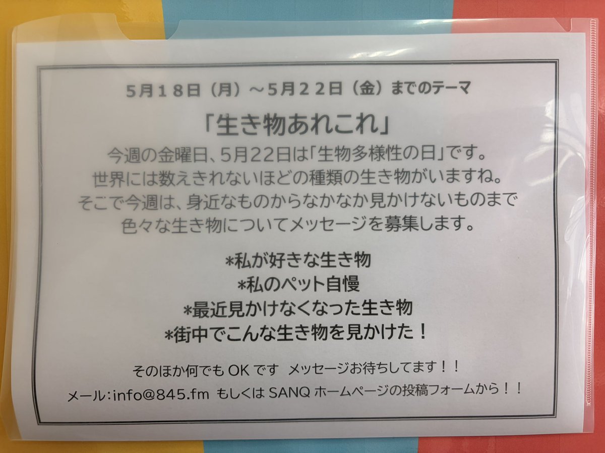 大心 tweet media