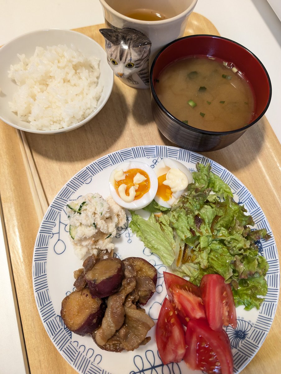 トリッシュ tweet media