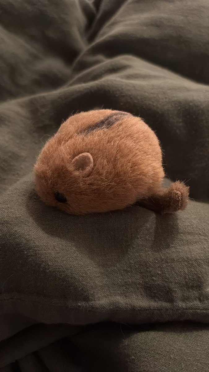やまね工房のぬいぐるみ、網走のお店で買いました☺️めちゃくちゃ