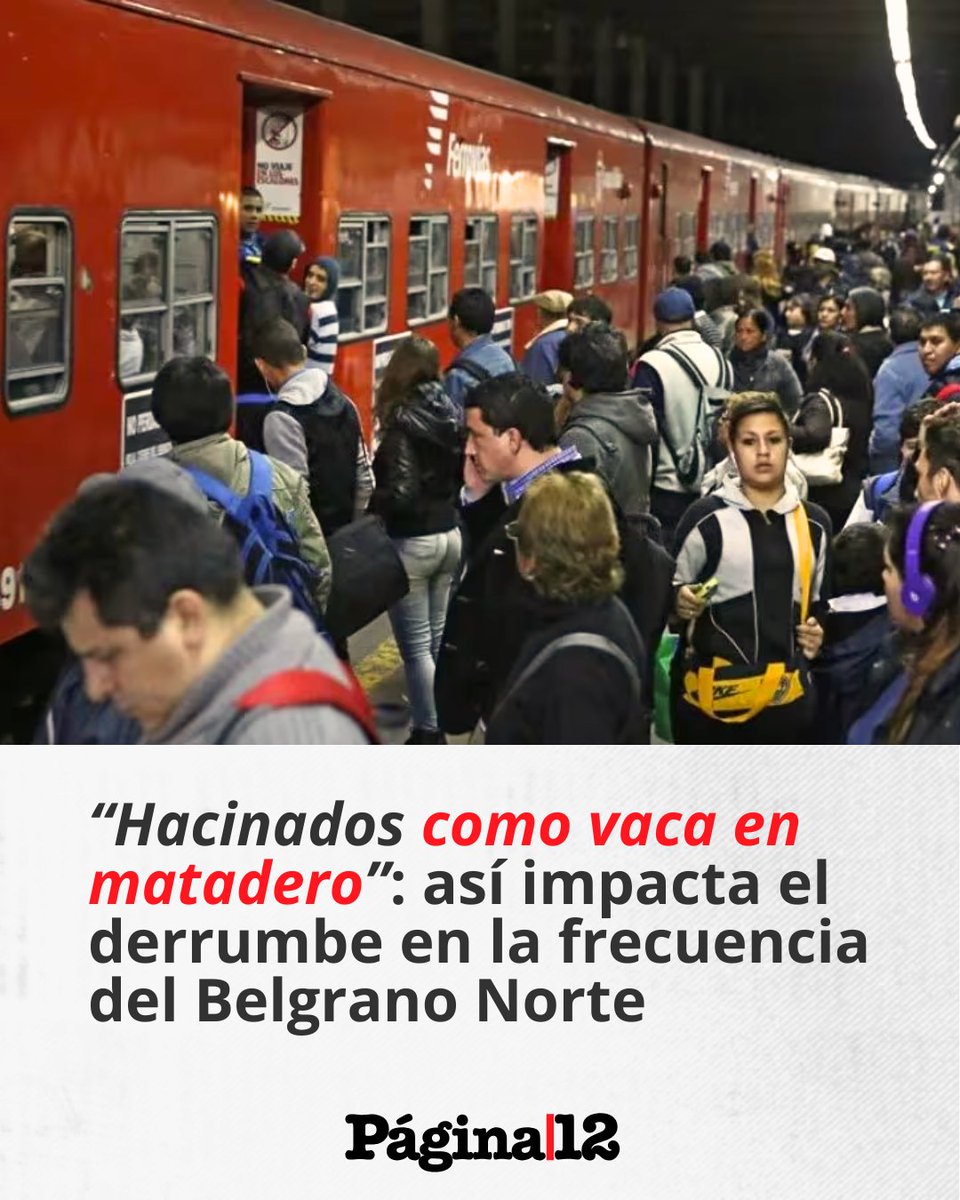 Página|12 tweet media