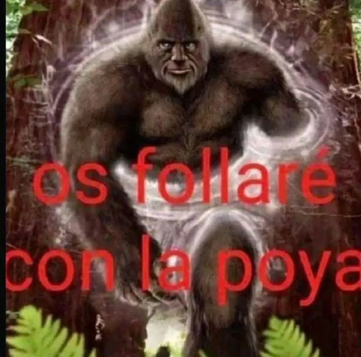 Milei intercambió la PATAGONIA por SBR ☭ tweet media