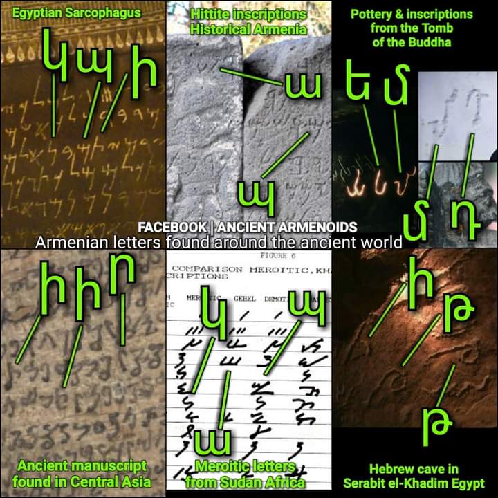 ANCIENT ARMENOIDS tweet media