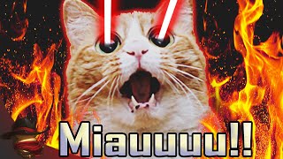 Uravity_282's tweet photo. @M4L4DuWaffle Premio o premio? https://t.co/QI0pooU2yT
