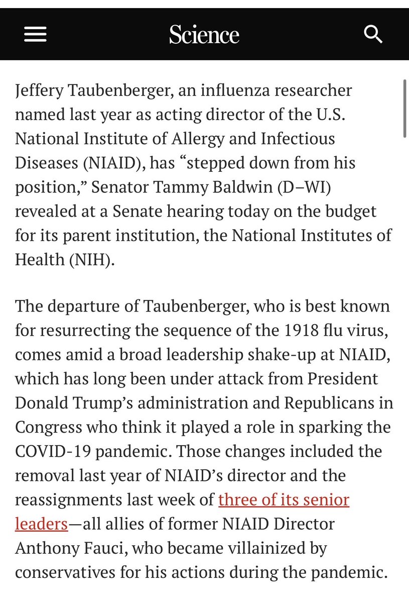 Laura Loomer tweet media