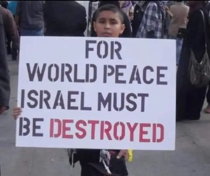 Anonymiss Love 🏴󠁧󠁢󠁳󠁣󠁴󠁿 🇵🇸 🏴‍☠️ tweet media