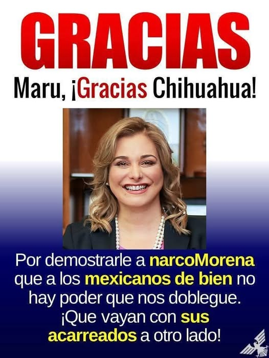DRA. MERCEDES PAVON "SUPERMUELITA FIFÍ" tweet media