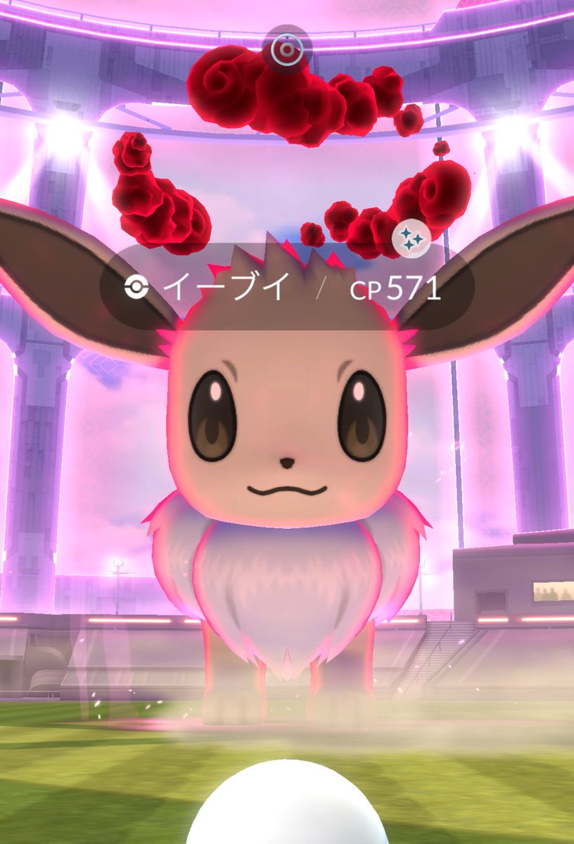 るり𓂃🎀𓈒𓏸 tweet media