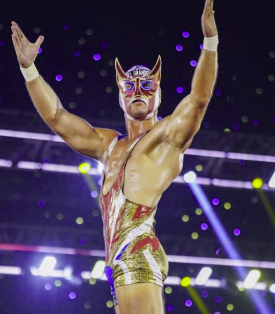 WrestleSting tweet media