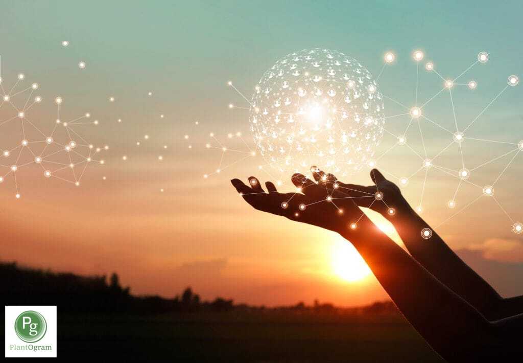 plantogramcomau's tweet photo. Who we are  🌱 Our Story

Established in 2019, PlantOgram assembled a network of experts including cultivators, researchers, medical professionals, and technology specialists

Learn more and join #PlantOgram today 🌐  https://t.co/uMveLwugXq

#alternativemedicine #cultivation https://t.co/u4ktTZ2cU8