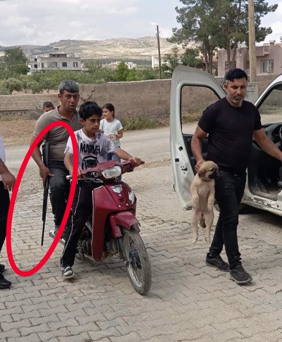 Garavolli1903's tweet photo. Urfa şaşırtmıyor... AK Partili belediye silahla hayvanları katlediyor...

@Birecikbel 

#SokakHayvanlarıSahipsizDeğil https://t.co/1d4XsINLbb