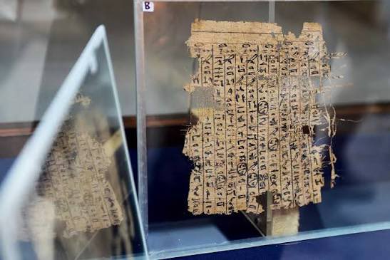 Gnostic Informant | Neal Sendlak tweet media