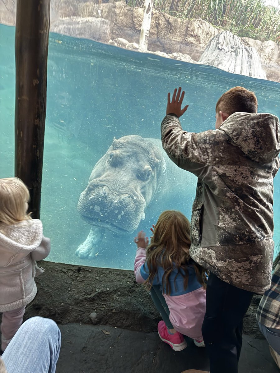 DatdudeBT's tweet photo. @CincinnatiZoo https://t.co/dJP1pHFZkp