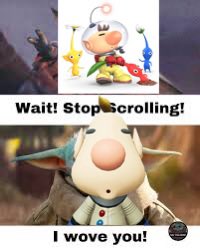 pikmin22player1's tweet photo. https://t.co/PGOd7BIuTa
