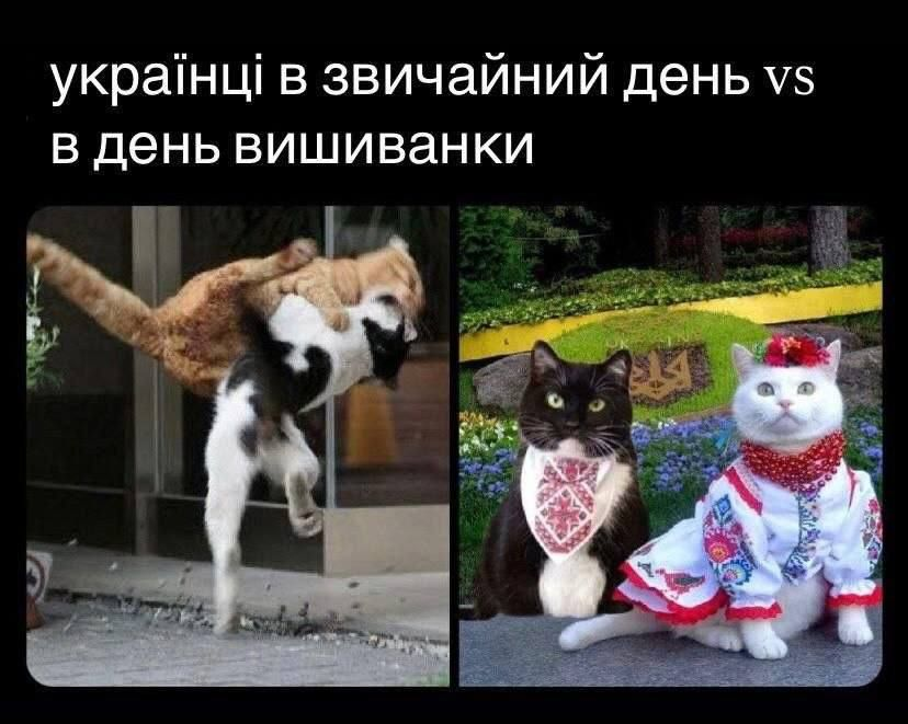 Anti-Putin Front of the Peoples 🇺🇦🇬🇧🇺🇸🇨🇦🇱 tweet media