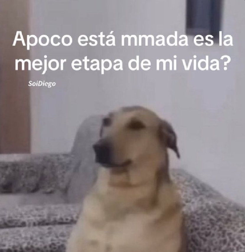 El CondeNado tweet media