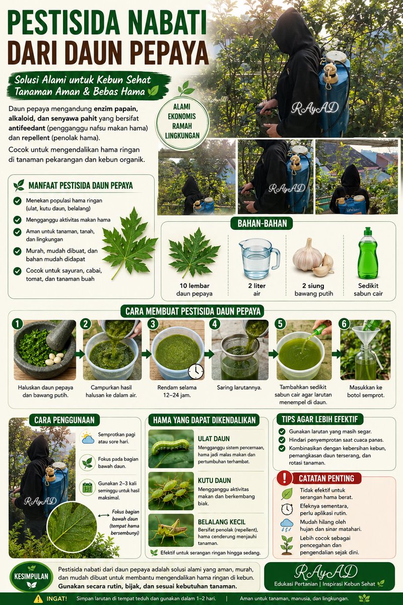 ☀️☯️ Ĕxčèĺ Ďèé🌏🌱 tweet media