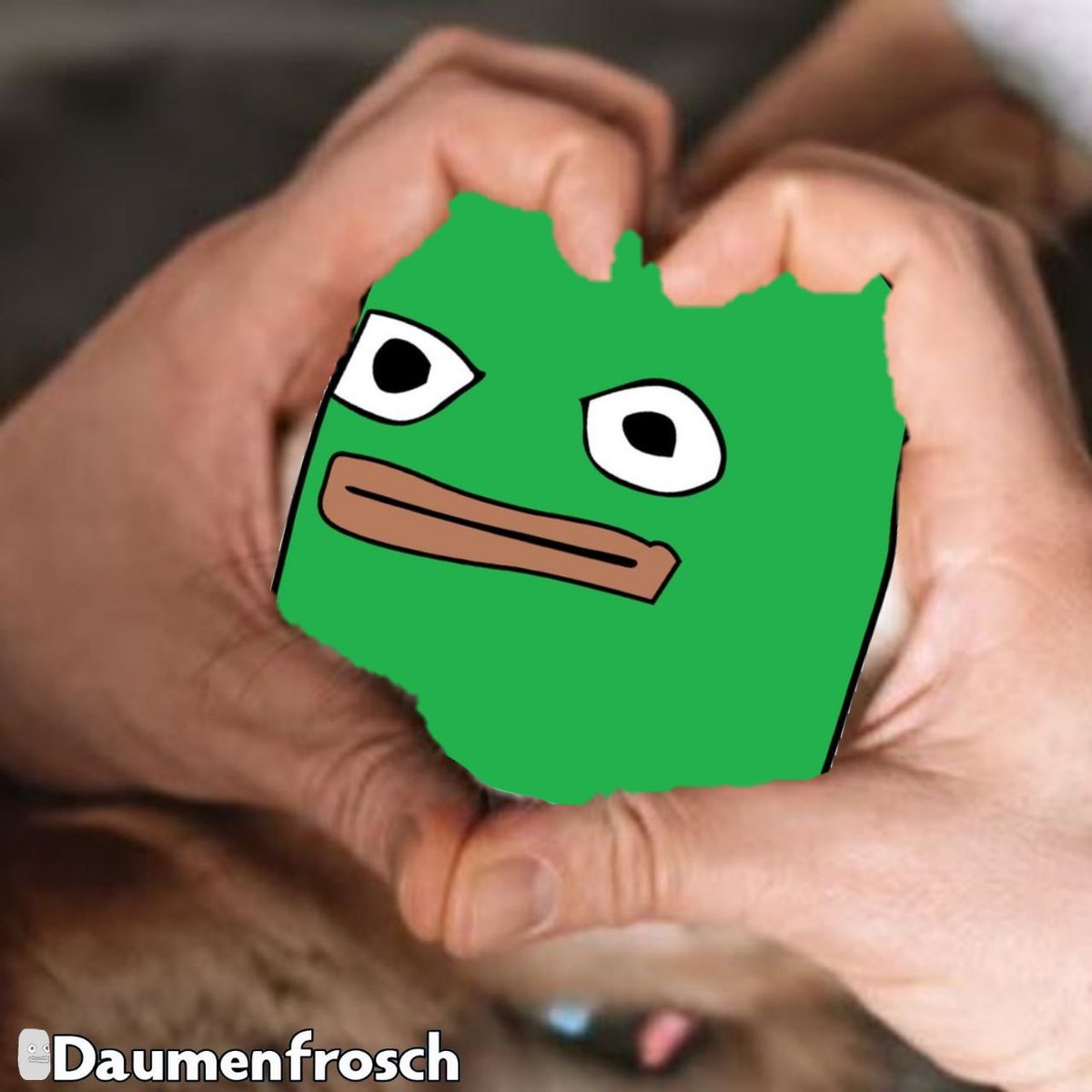 DAUMENFROSCH tweet media