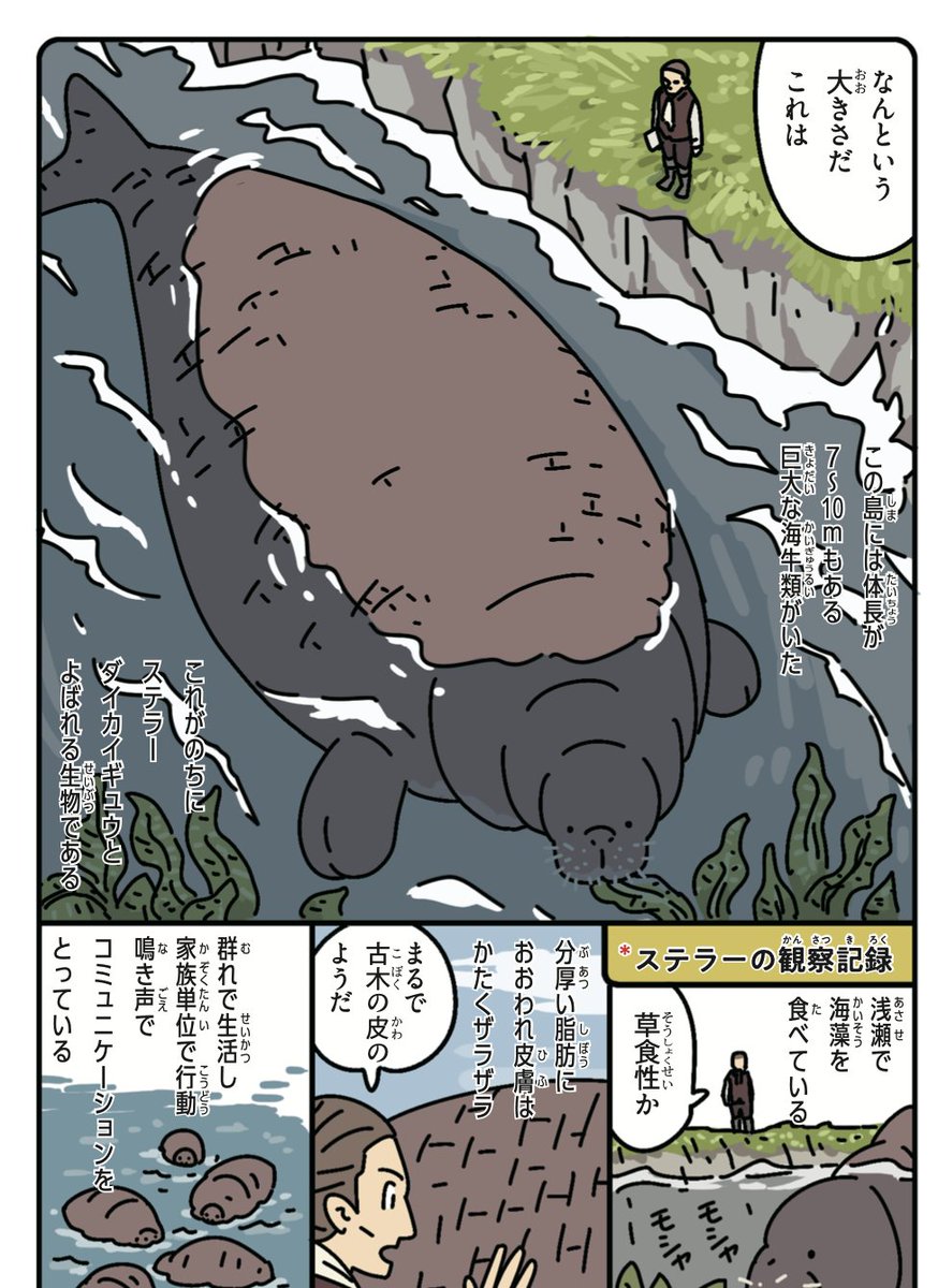 ウラケン・ボルボックスのビオトープ観測所🌱 tweet media