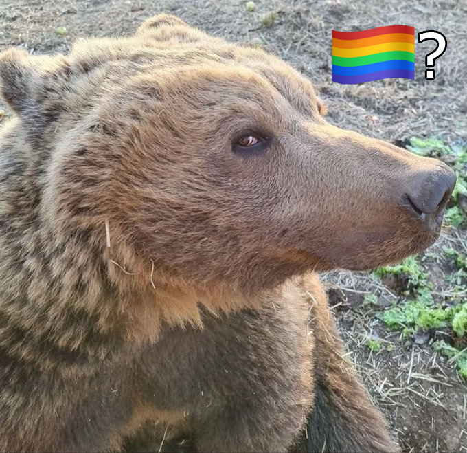 BearyDales tweet media