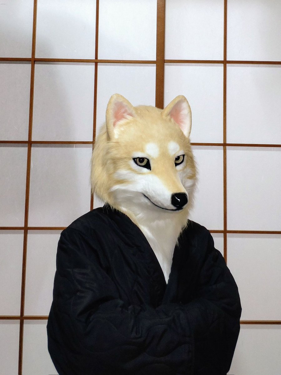 bigicywolf's tweet photo. 🐺急に寒くなったから、体調崩さないように暖かい服着ていきましょう。
#FursuitFriday https://t.co/mANtaRuGxK