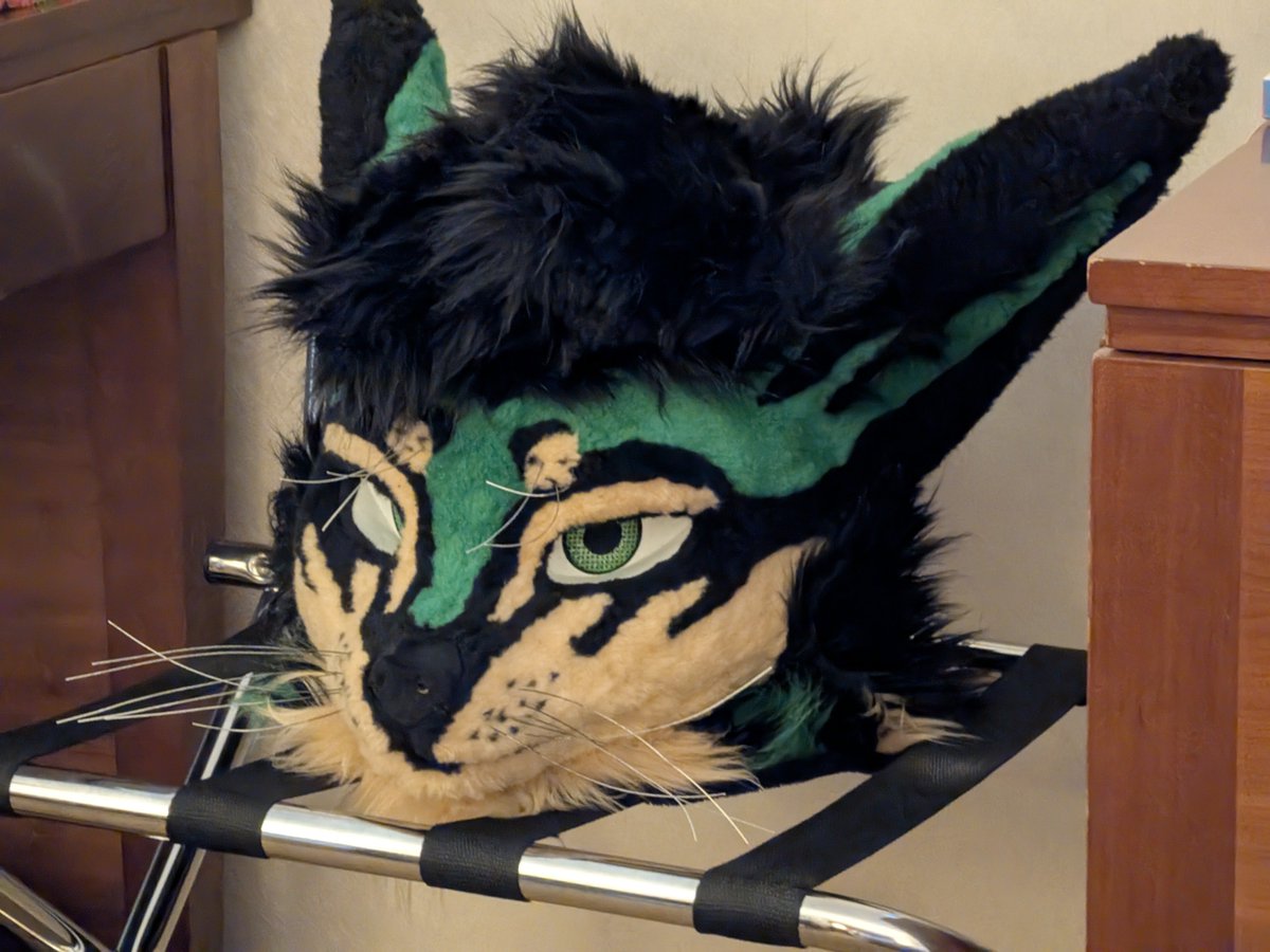 KilobyteFox's tweet photo. First day of suiting and he's already mad at me qwq https://t.co/fTYpT44vPp
