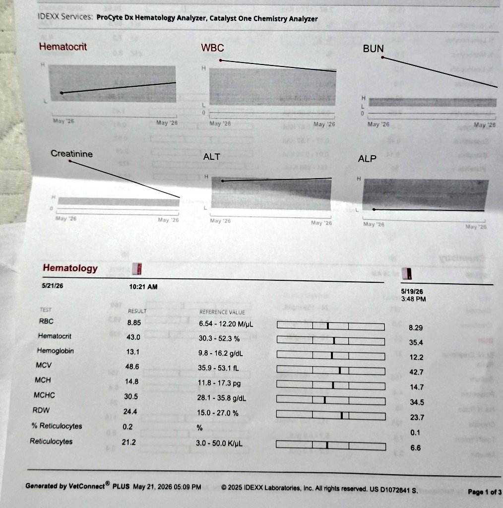 strallweat tweet media