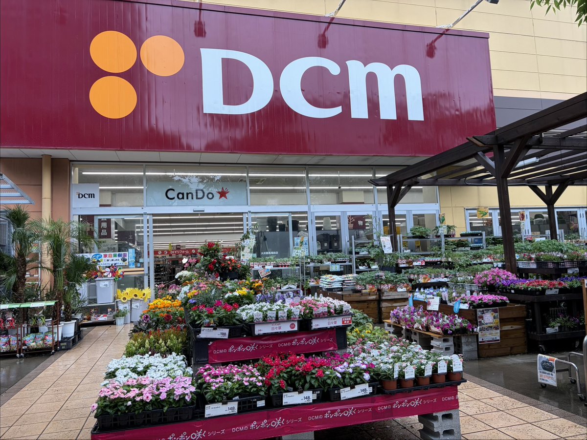 公式】DCM(ホームセンターです) (@dcm_official_jp) / Posts / X