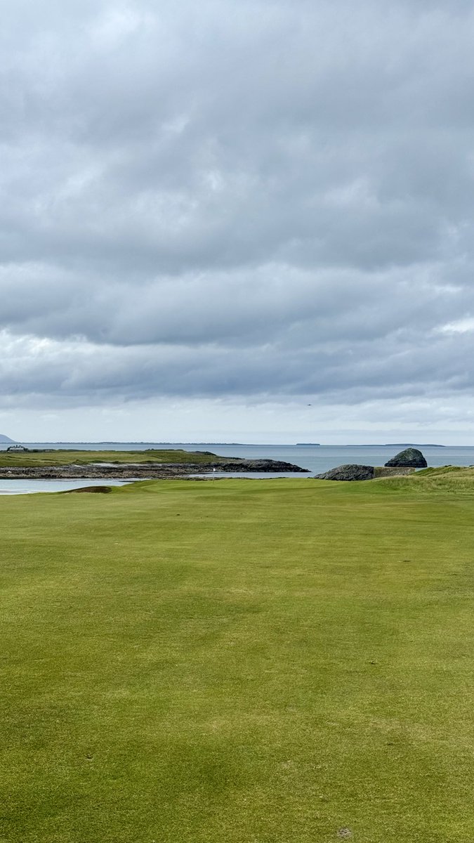 Fore Play tweet media