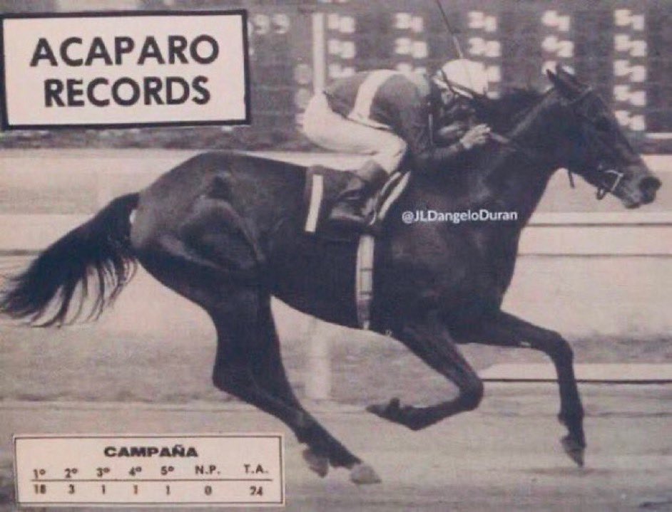 JLDangeloDuran's tweet photo. TRINYCAROL ganó en tiempo récord los 3000 metros del Clásico Andrés Bello, derrotando una vez más a los machos el 22 de mayo de 1983

Con Balsamino Moreira y Giovanni Contini dejó 193”4 (3’13”4/5) bajando 1/5 la marca que había dejado Tajoreal el año anterior https://t.co/ZSy3c2pPKj